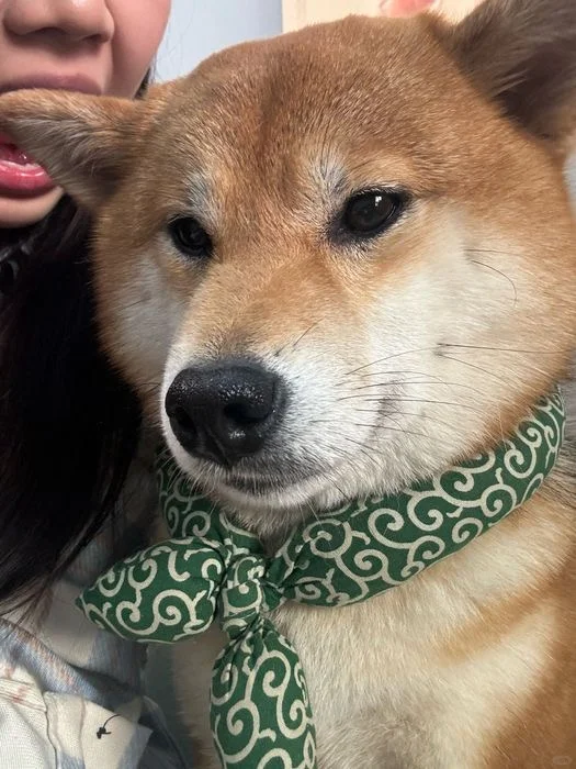 更几张栗姐的美照