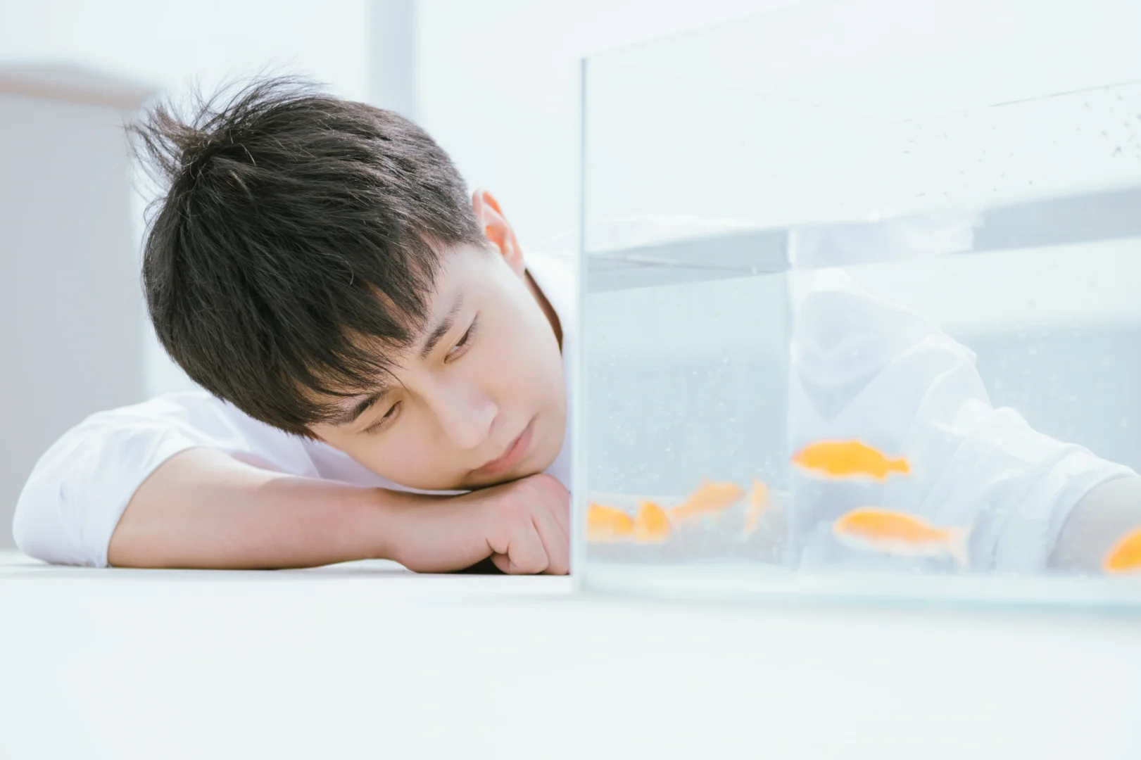 鱼 合 我 🐟🐠🐡