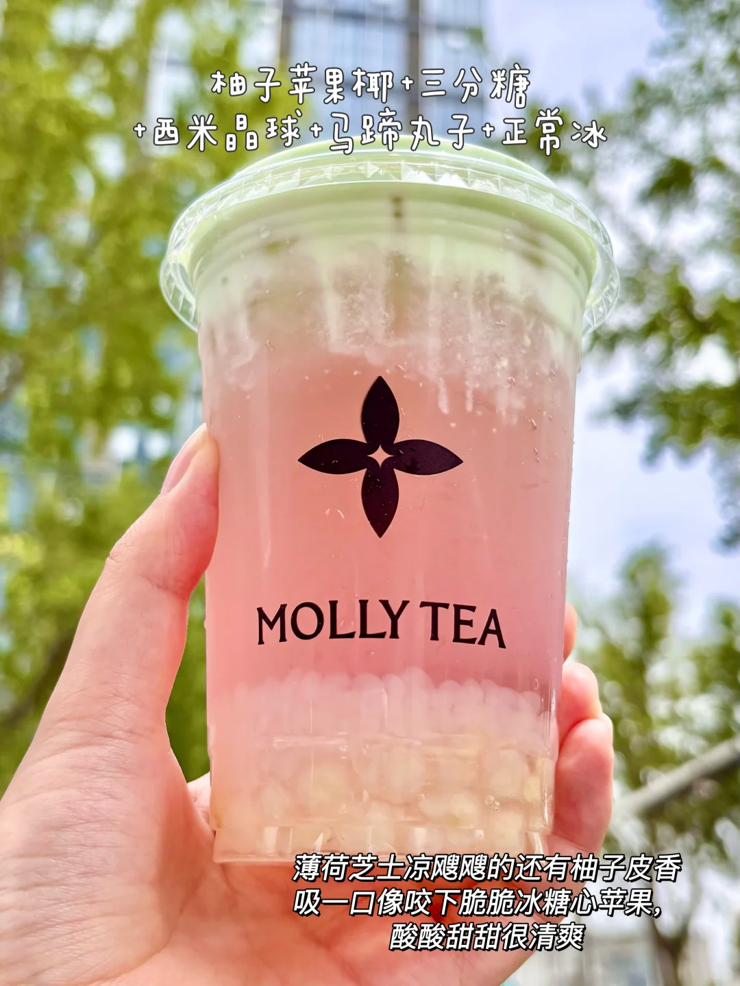 茉莉奶白记住这几杯是你的舒适区。。。
