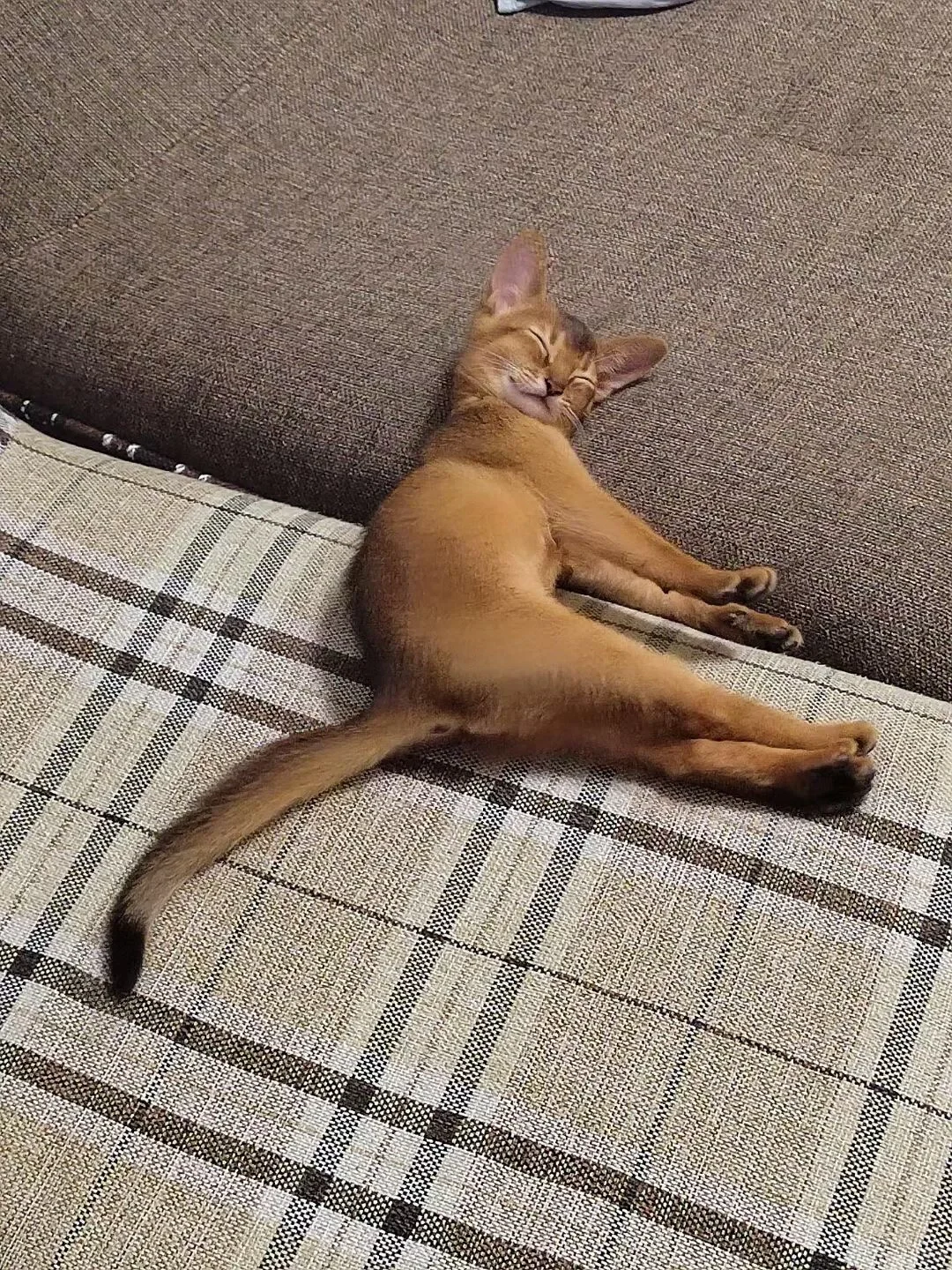 性感大长腿☺️☺️