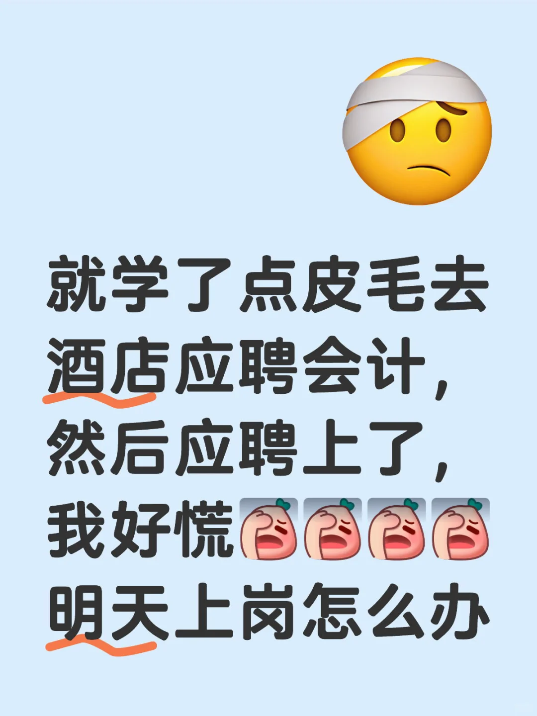 就学了点皮毛去酒店应聘会计，然后应聘上了，我好慌[