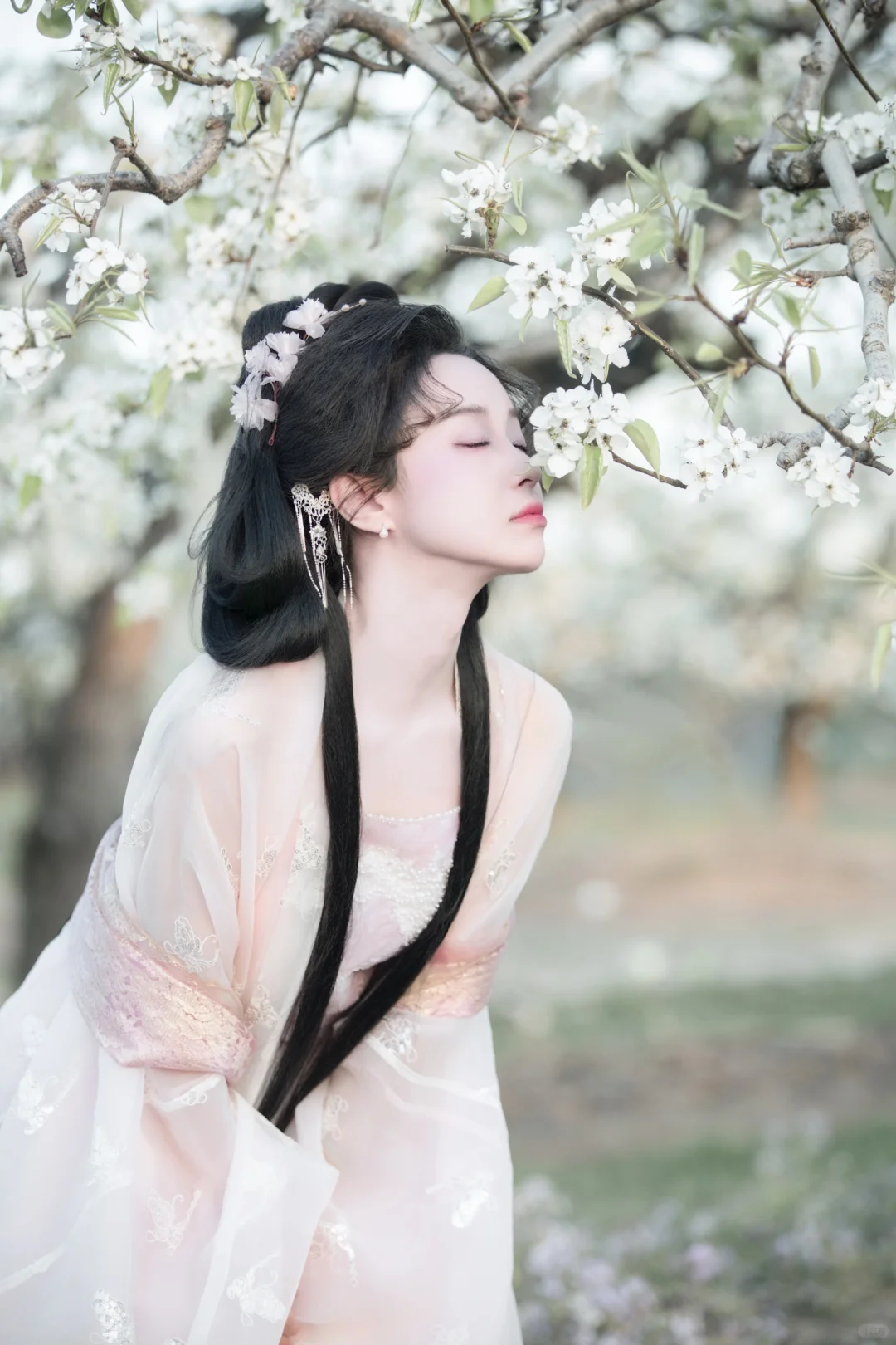 不知春几许，殷勤问梨花。