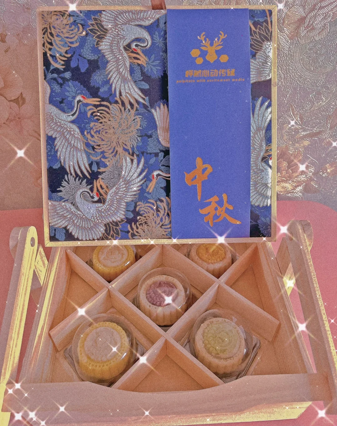 纯市场厅 稳定市场 会长温柔有钱 应聘d