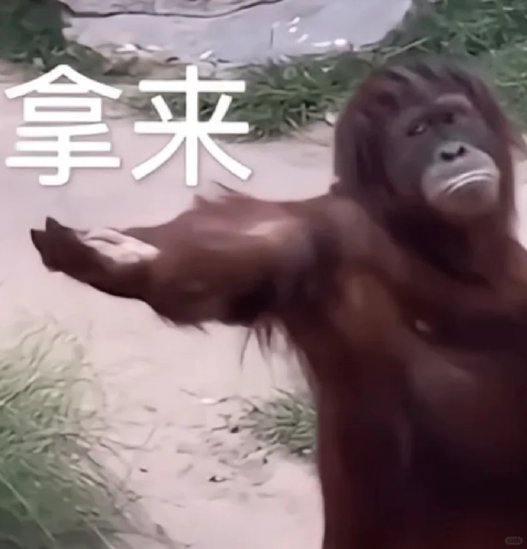 想看姐妹们的520战袍