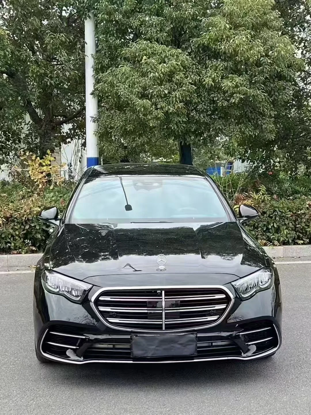 高冷都是我装的，我要点最贵的嫩模