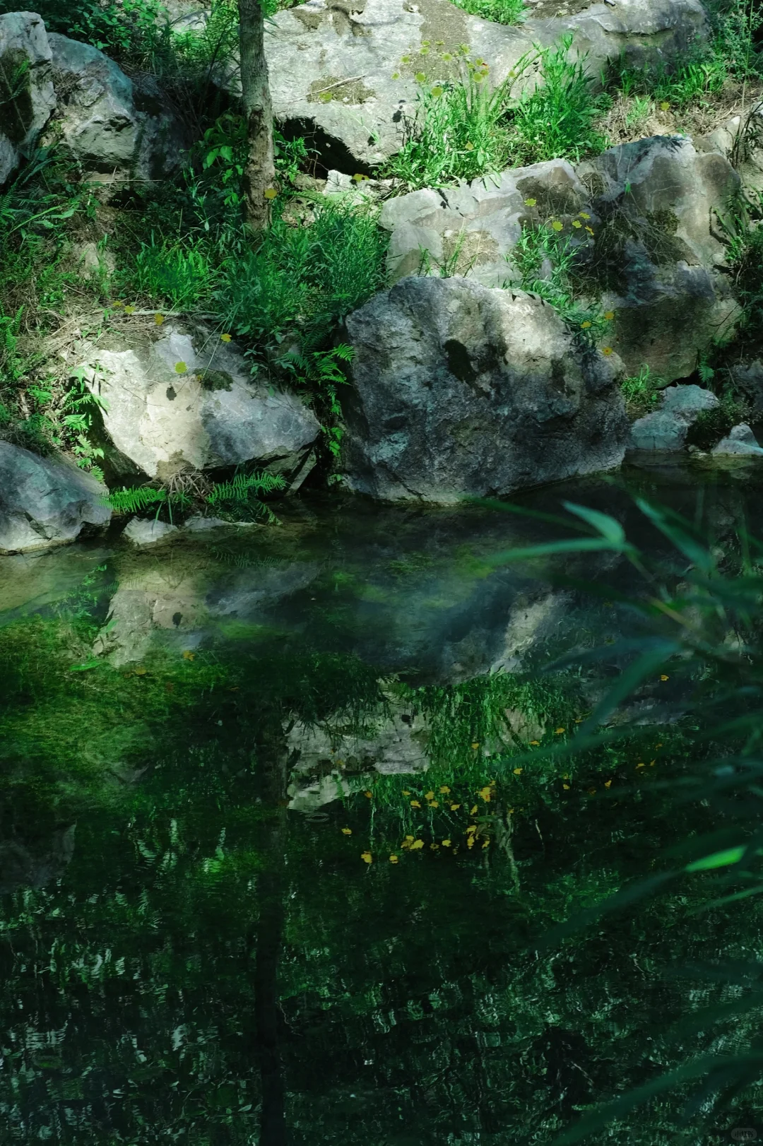 🍃一边吸氧一边想 吸氧想