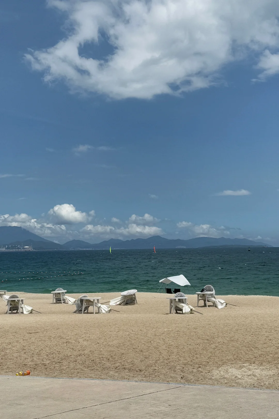 see sea🌊🏝️🐶