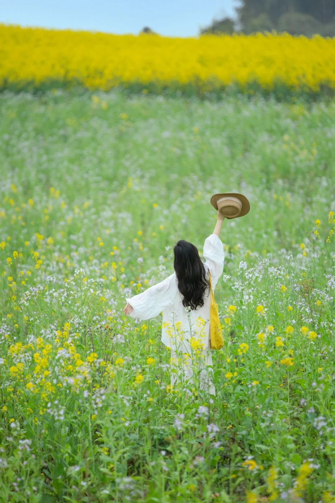 眉山的油菜花拍照太美啦！