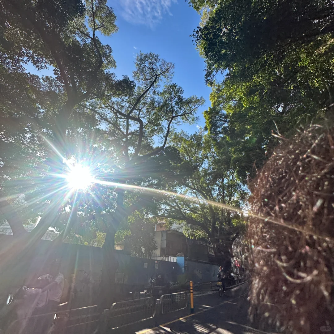 突然有点明白和女朋友谈恋爱的意义