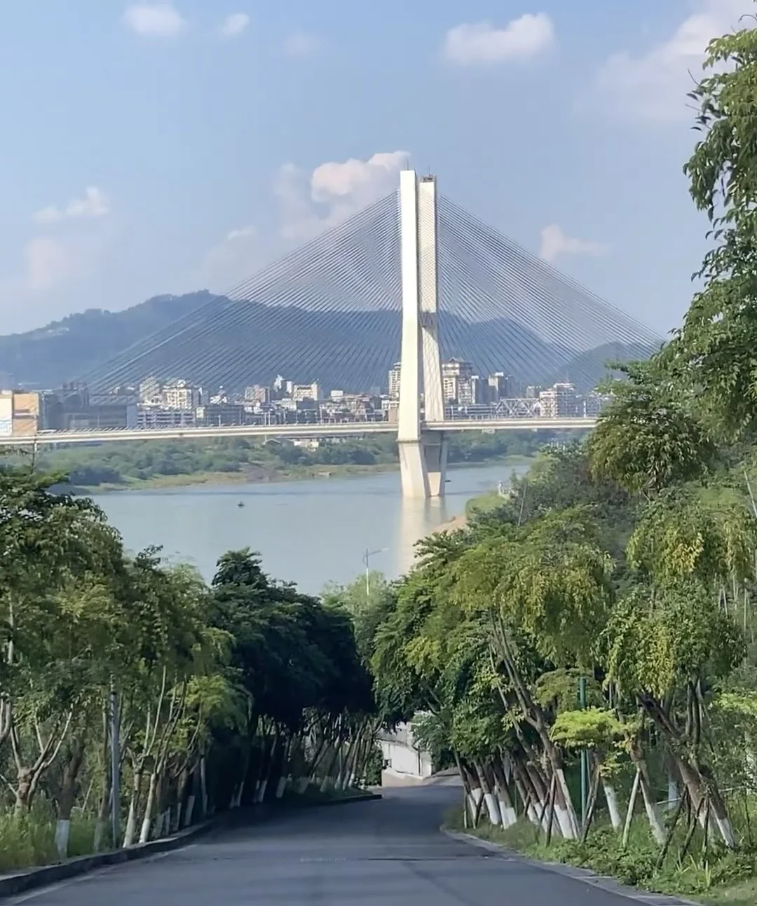 拍到了一整个夏天的美照～🌿
