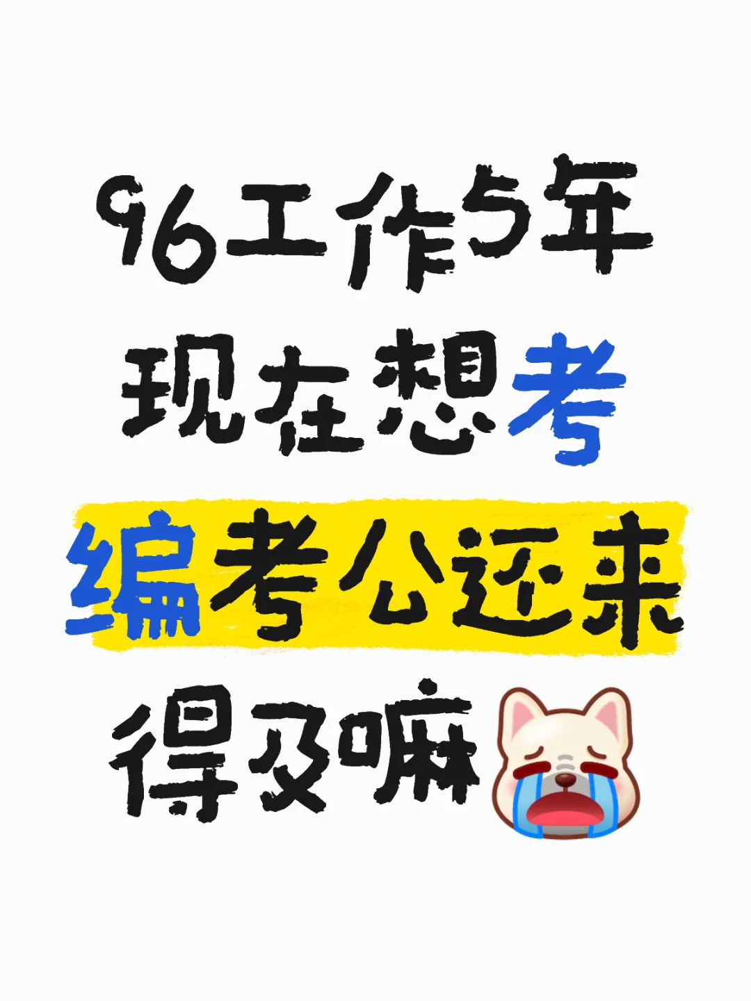 96考编考公
