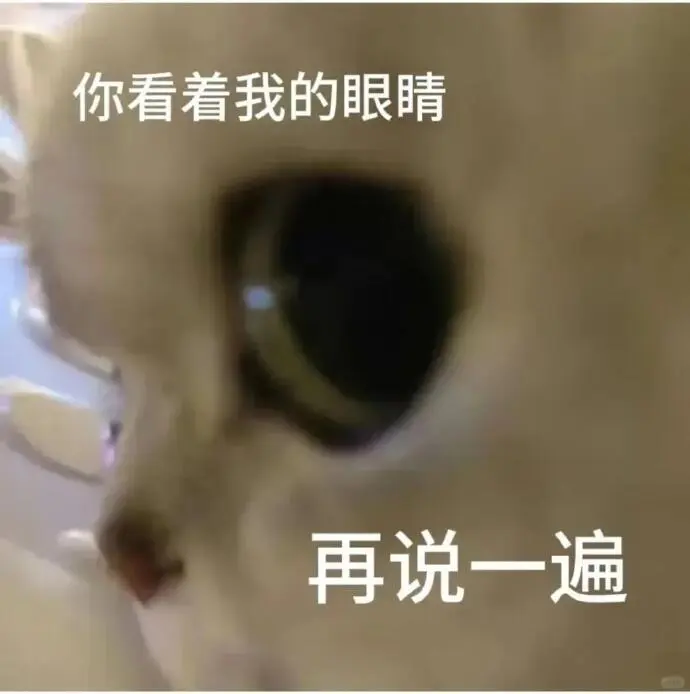 可爱的猫猫表情包来啦