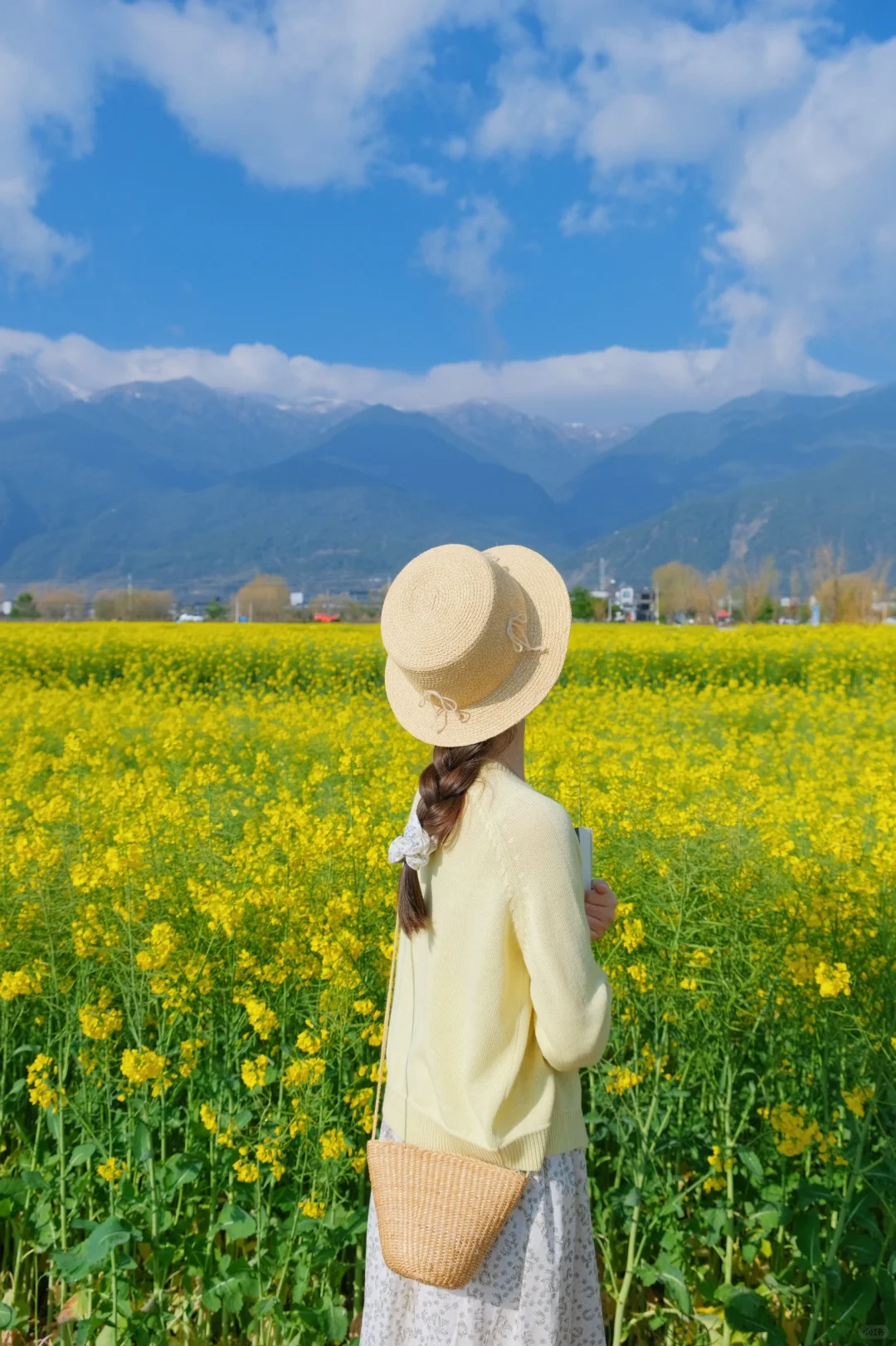 接下来是，春和景明🌼