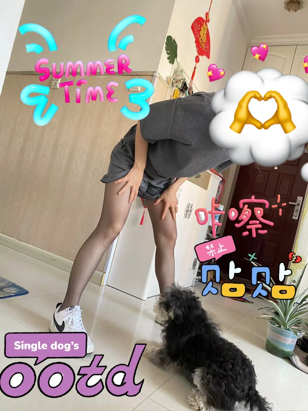 狗抓不烂丝袜！