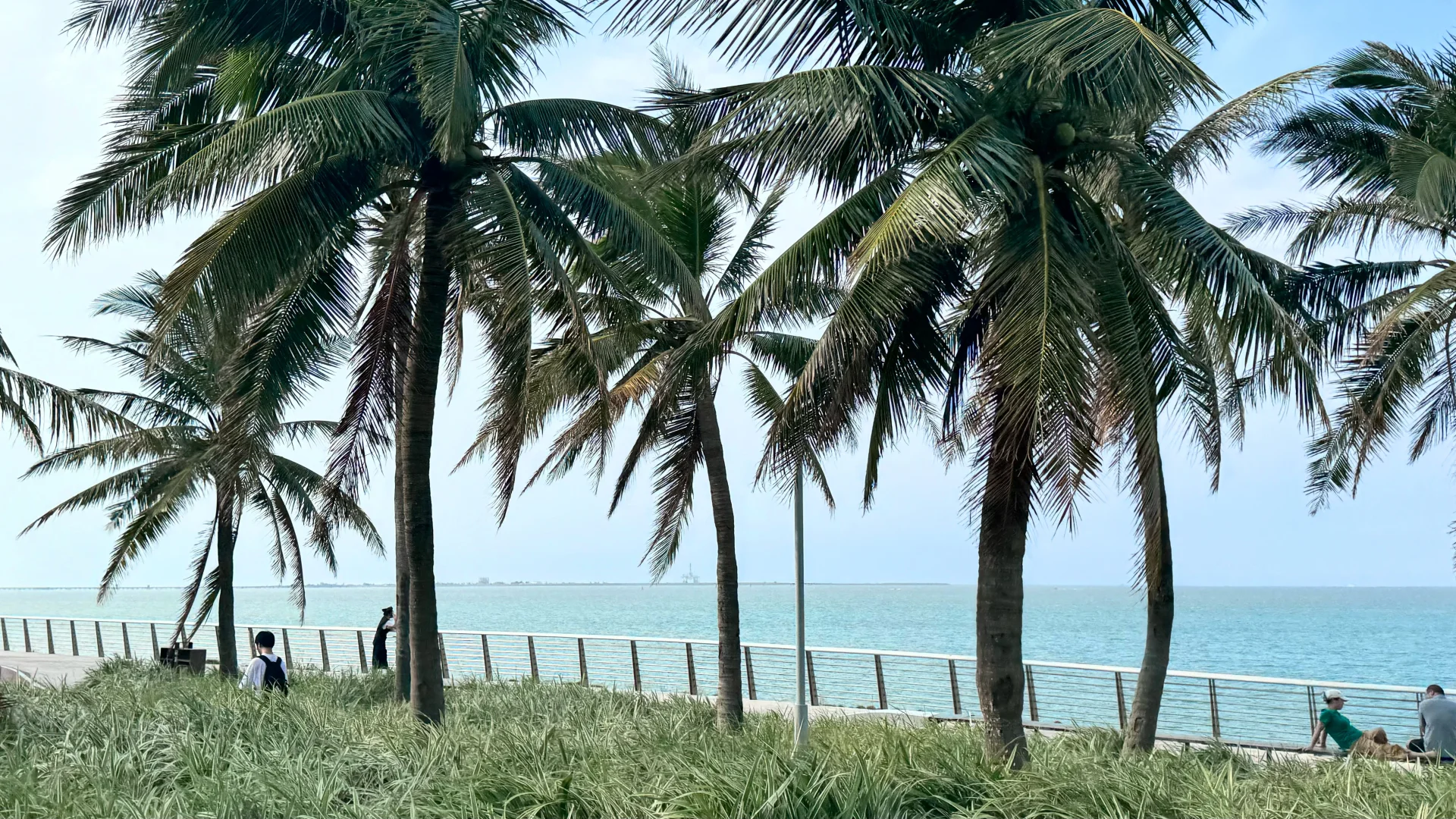 Bask in the sun 🏝️