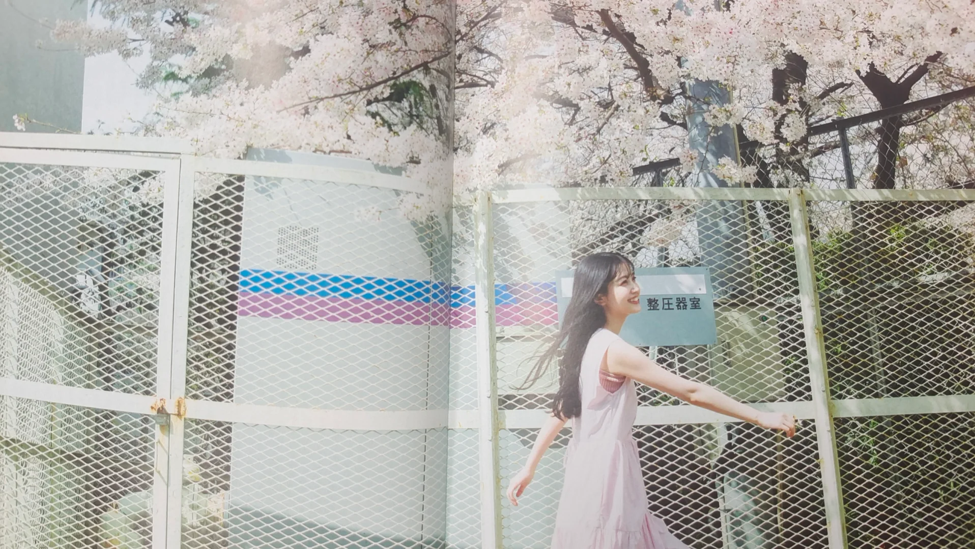 久保史绪里写真集『交叉点』