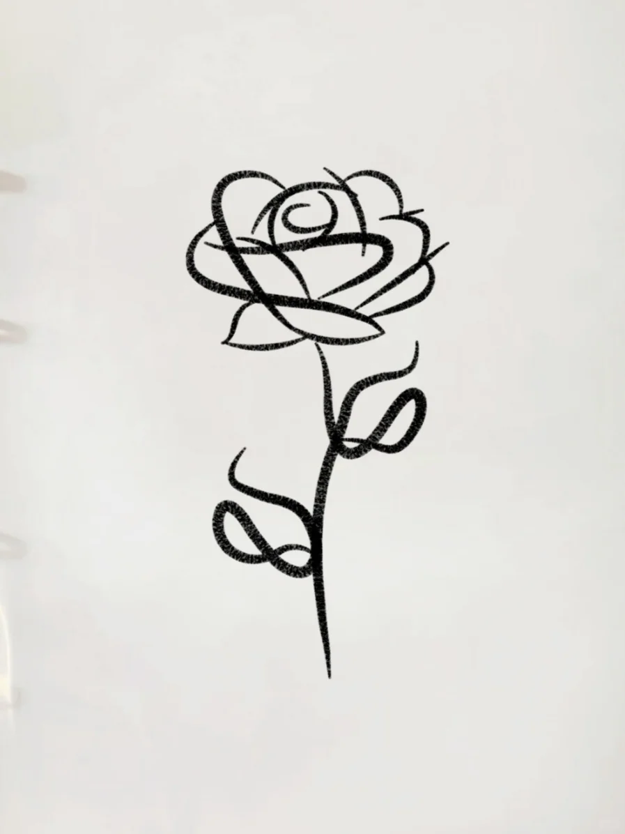 分享简笔画教程9⃣|线条玫瑰🌹