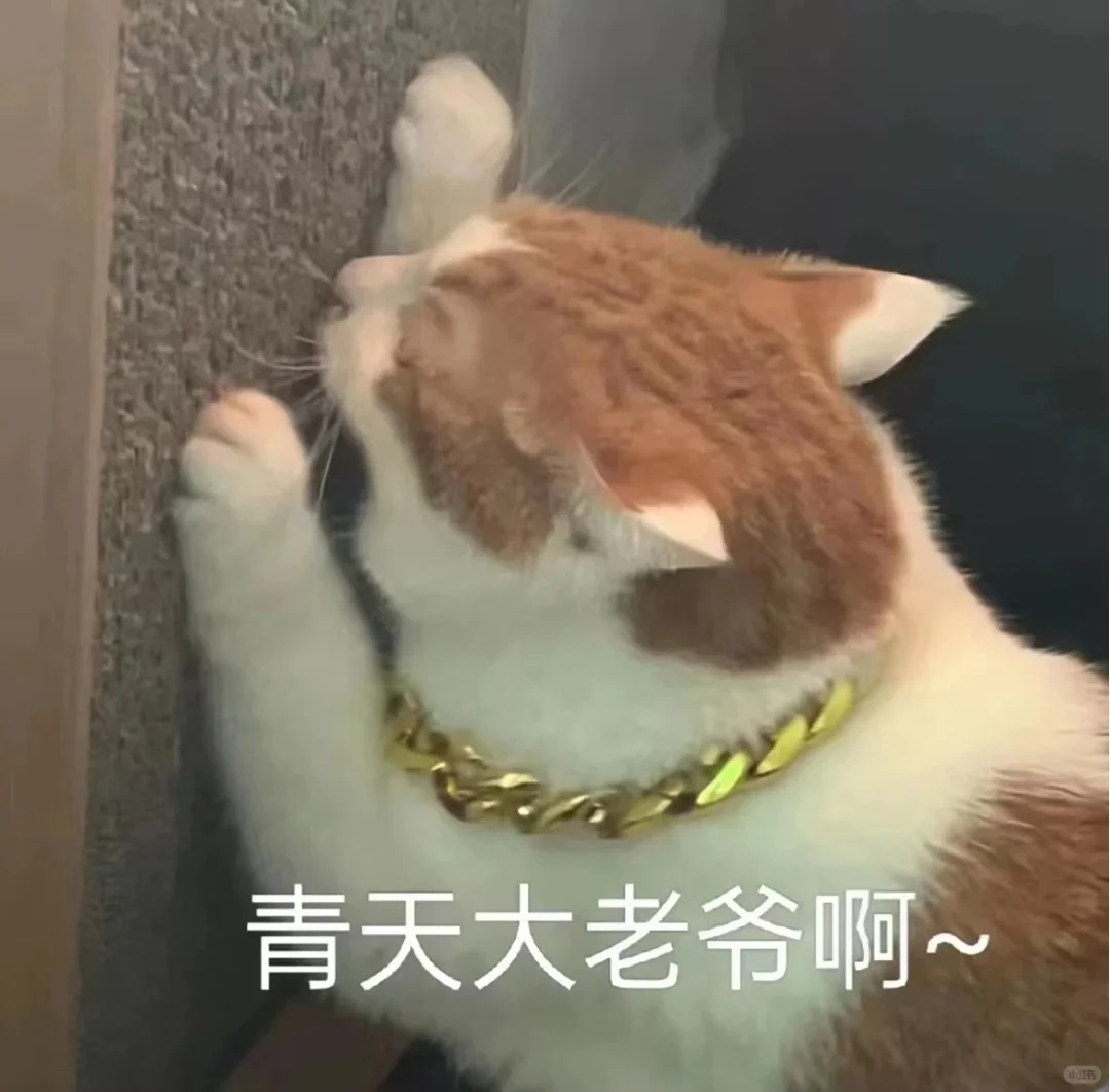 适合发给女朋友的表情包~嘿嘿