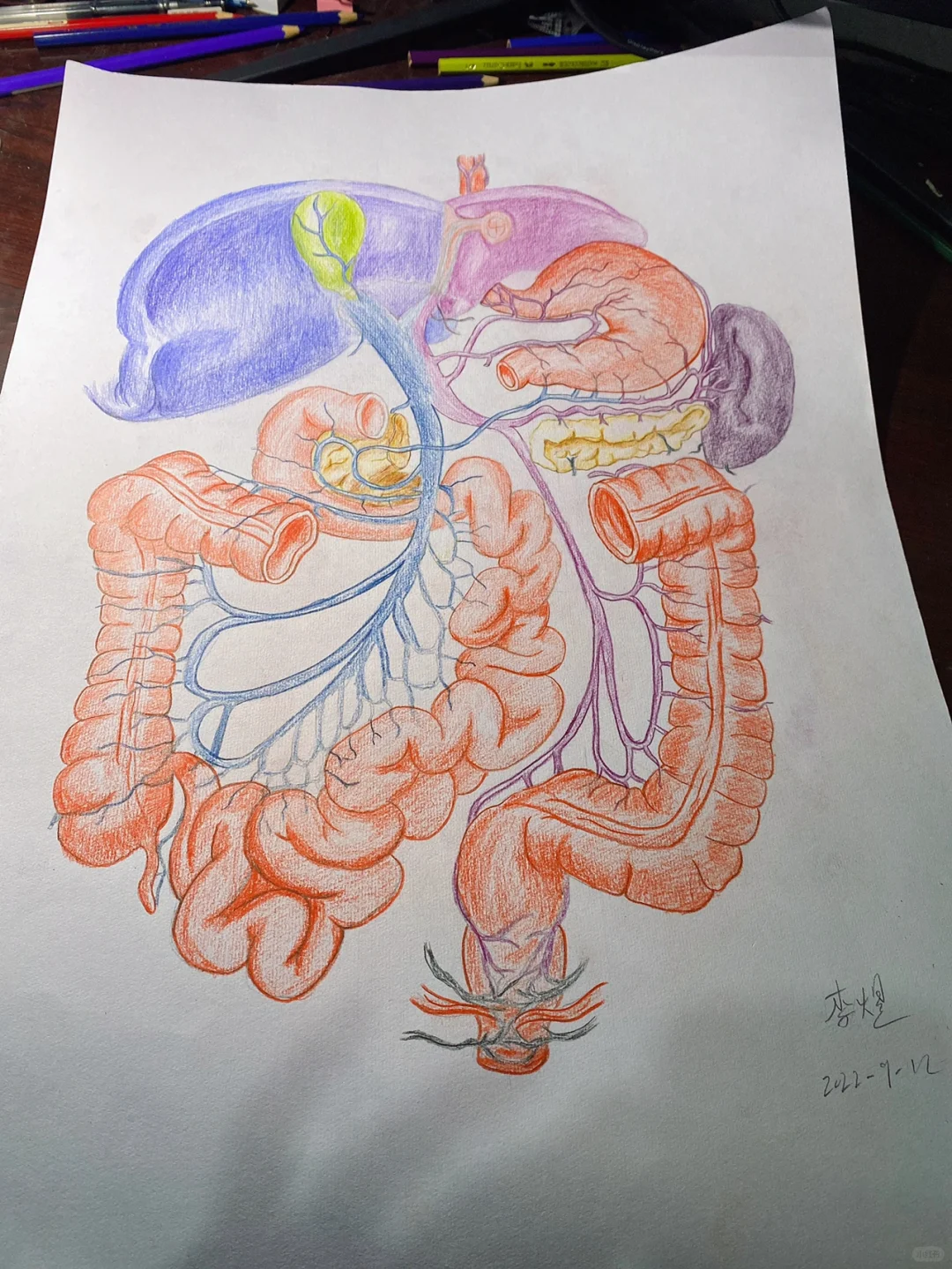 医学插画