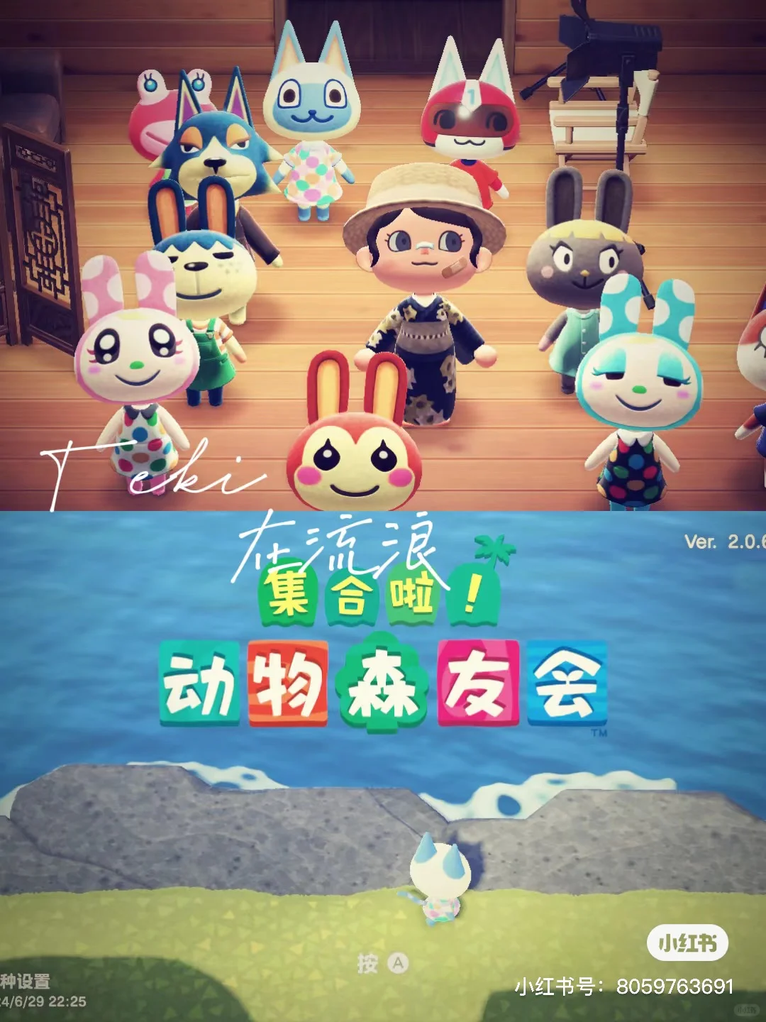 🎈动森福利家具岛㊙️小动物篇2⃣️0804