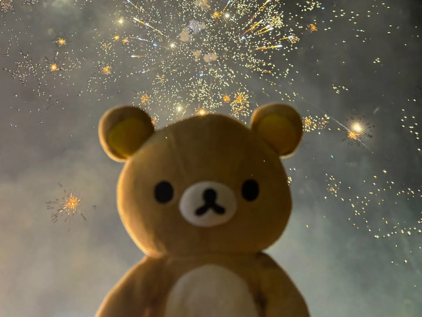 1.17轻松熊ipad壁纸