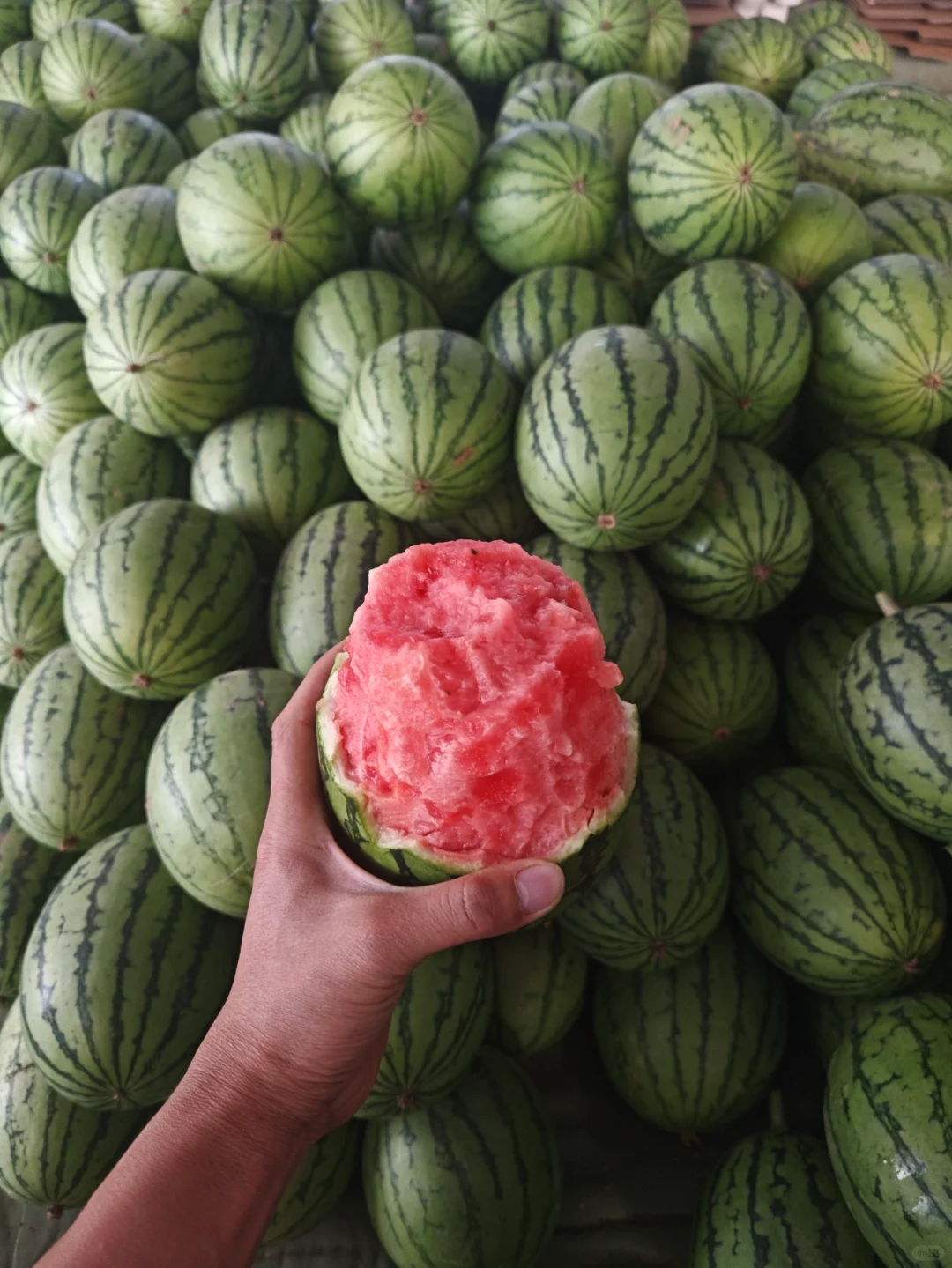 咬一口夏天，是西瓜的脆甜~