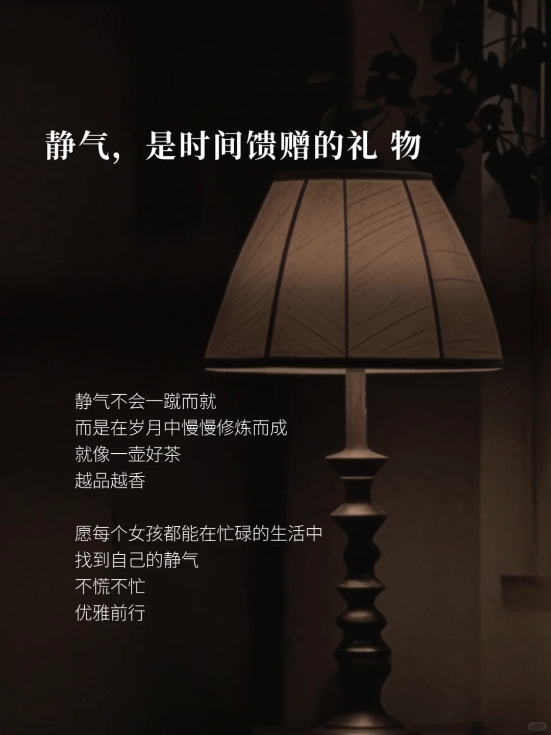 女孩子蕞好的气质，一身静气