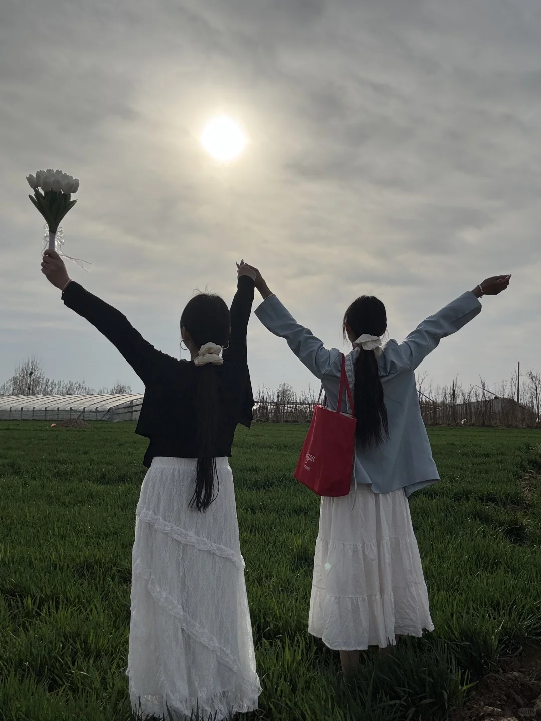 麦田里的风是自由的 麦田少女🌾