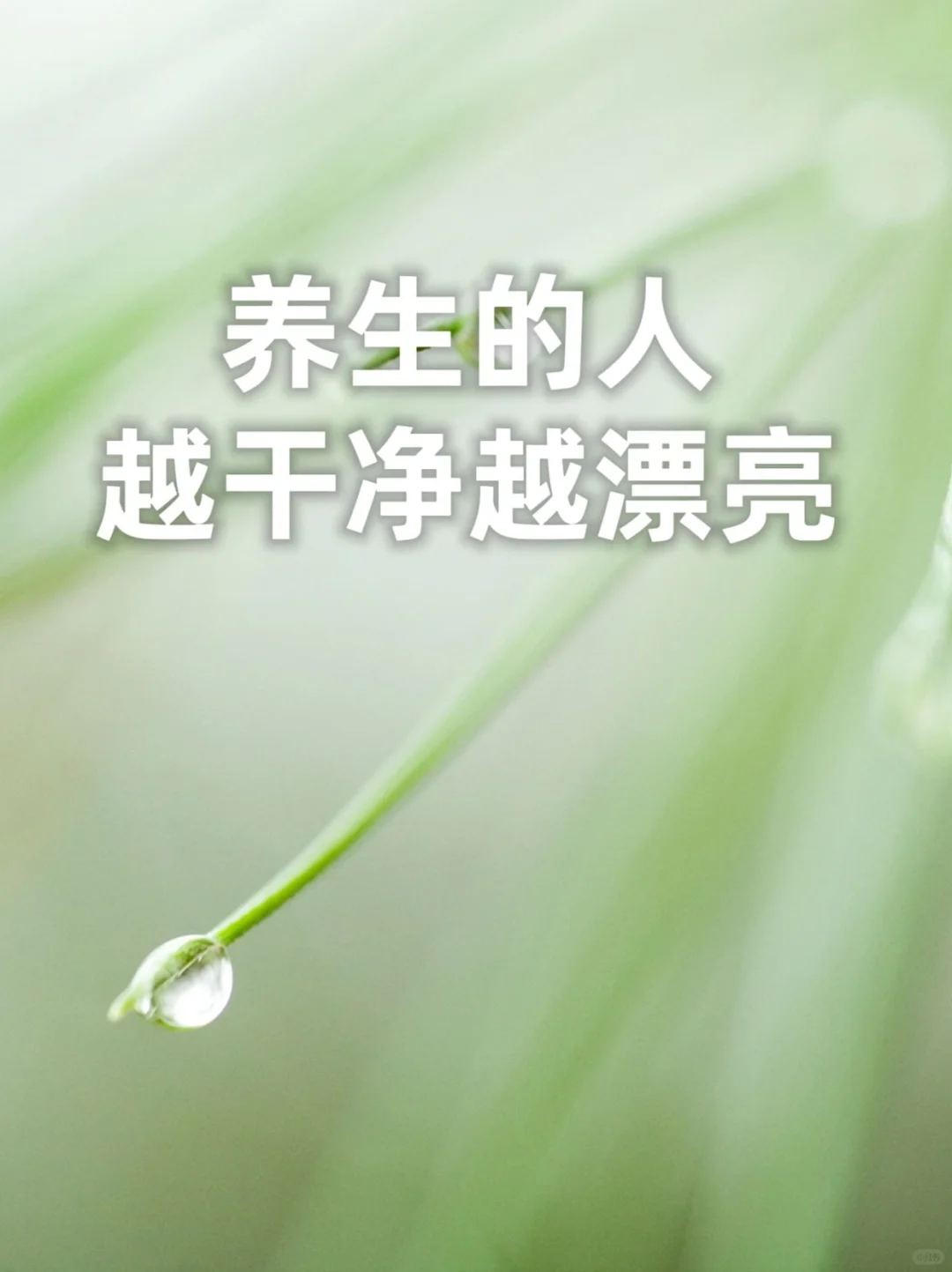 养生的人，越干净越漂亮