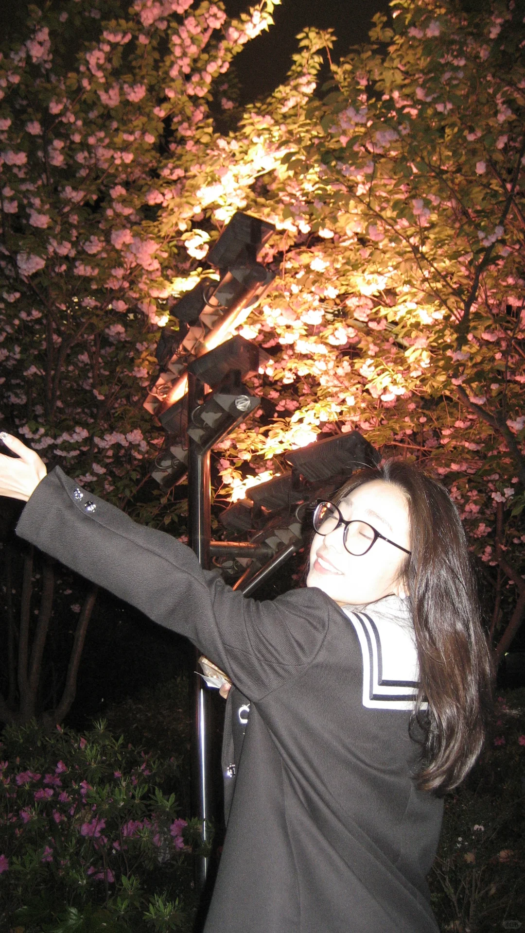 夜樱速报！！