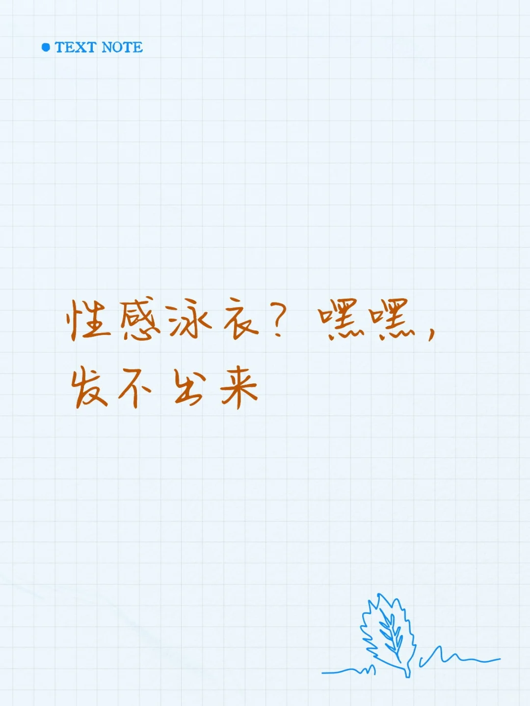 泳衣大比拼