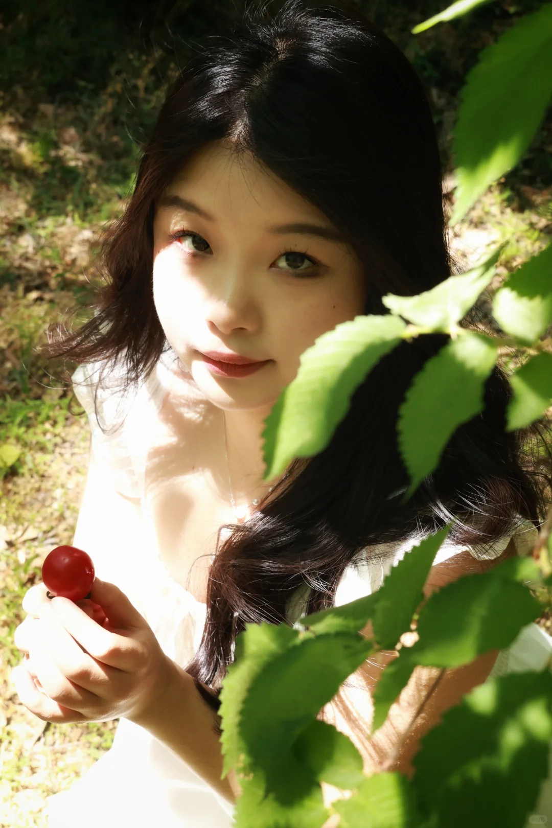 南京互勉｜绿是流动的海🍃