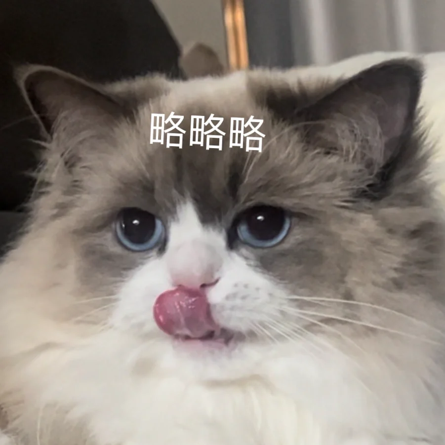 天然的厌世脸表情包上线啦