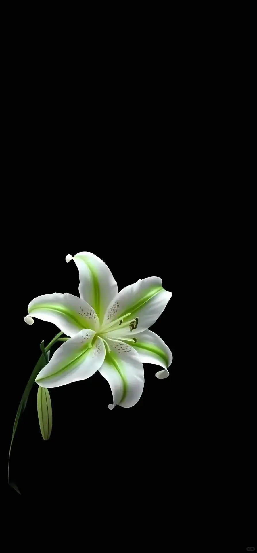 5月21日壁纸高清分享