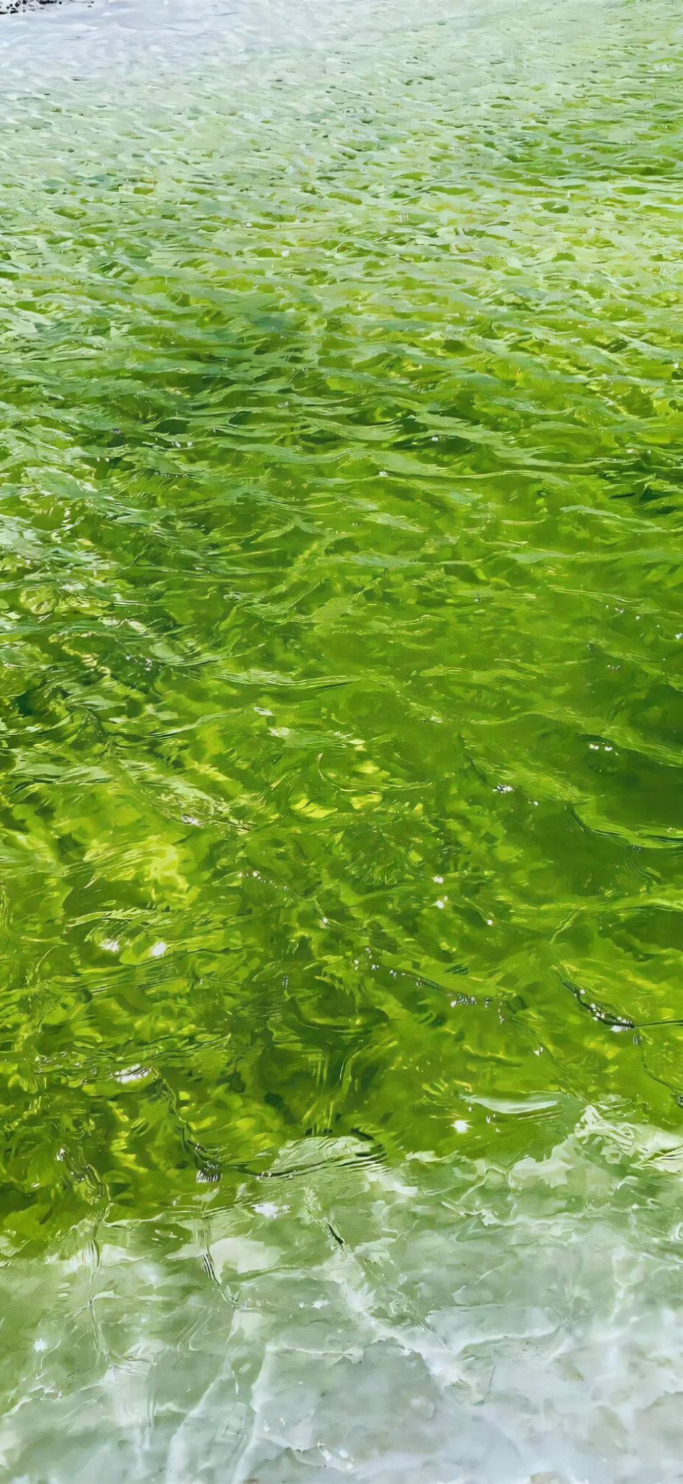 浪漫风景壁纸