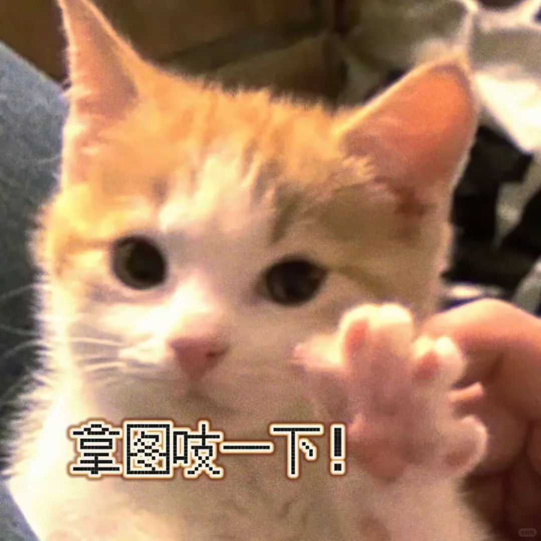该换头像了亲😘