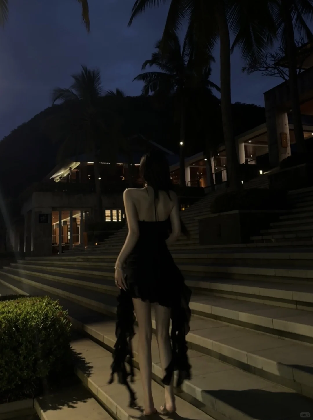 仲夏夜