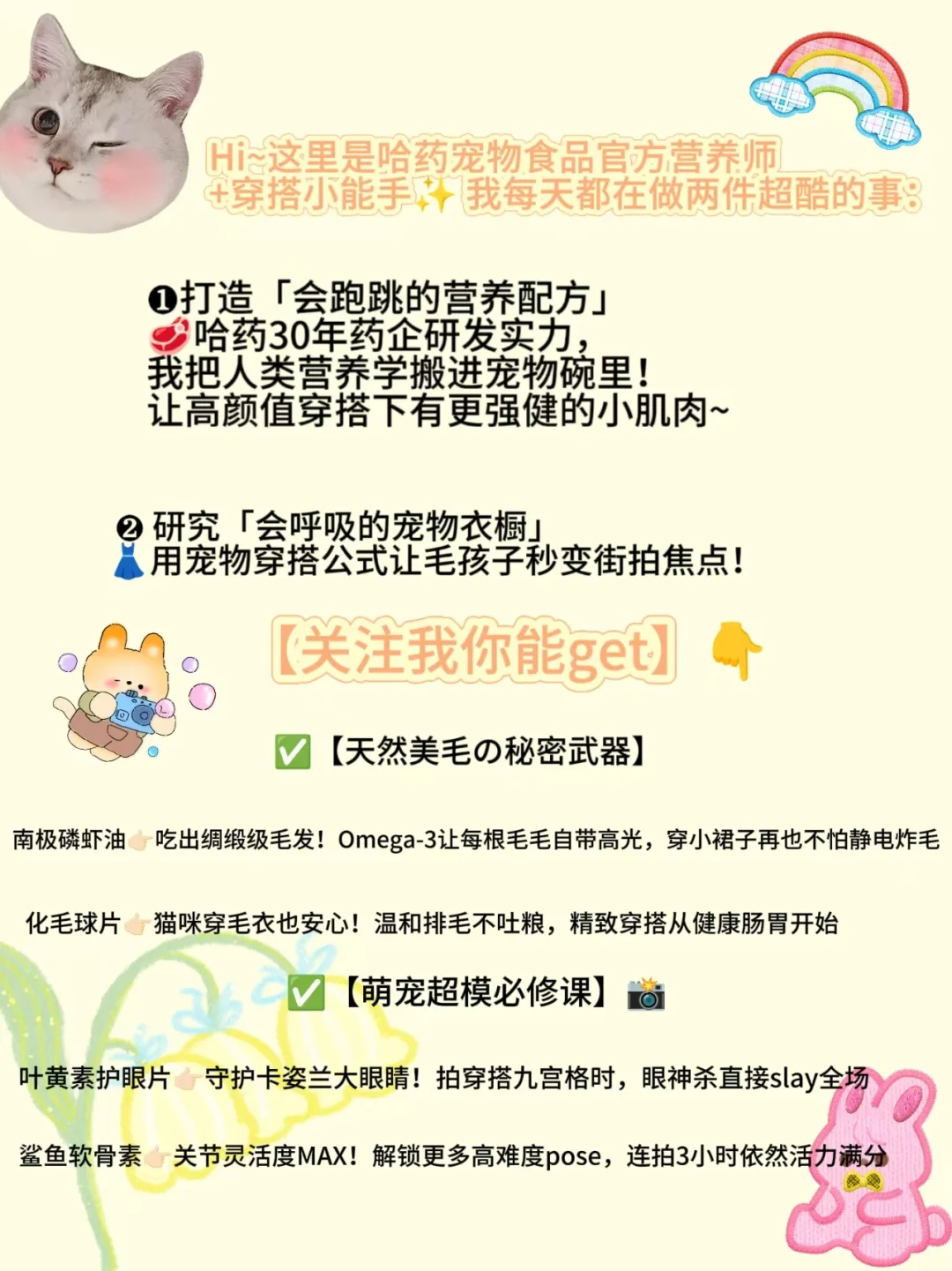 猫届纯欲天花板！这谁顶得住啊💘