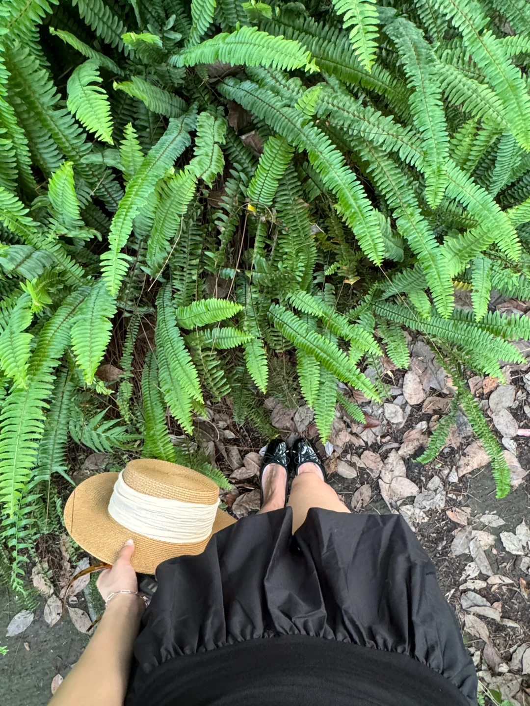 快乐吸氧🌲