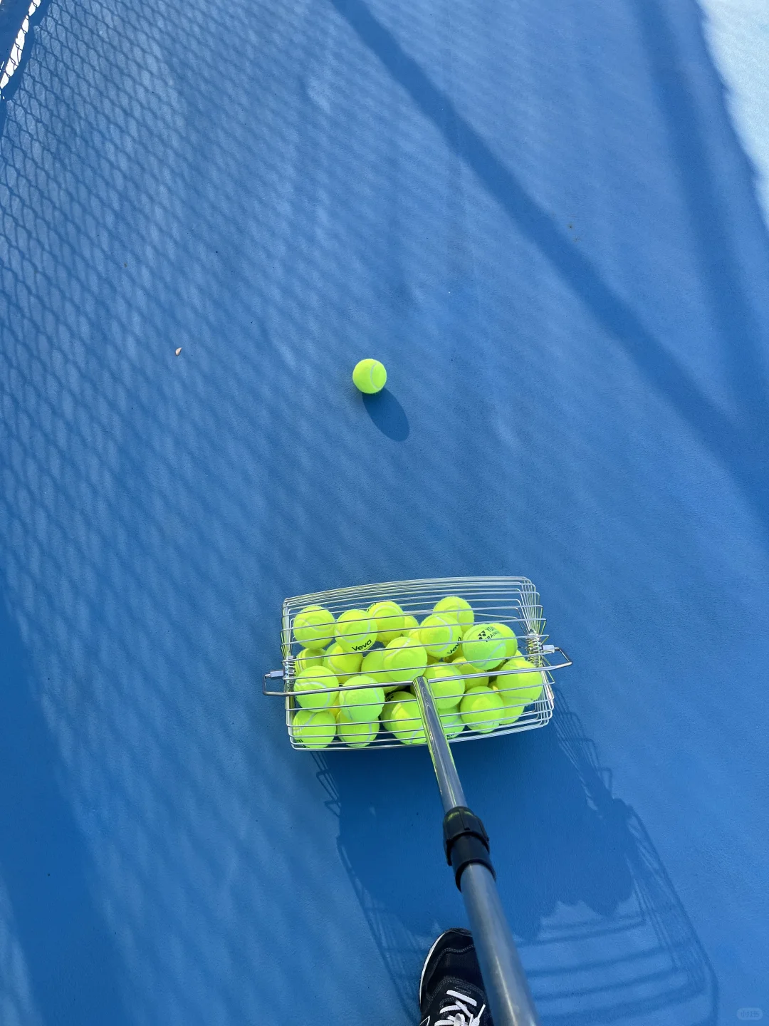 网球的乐趣🎾