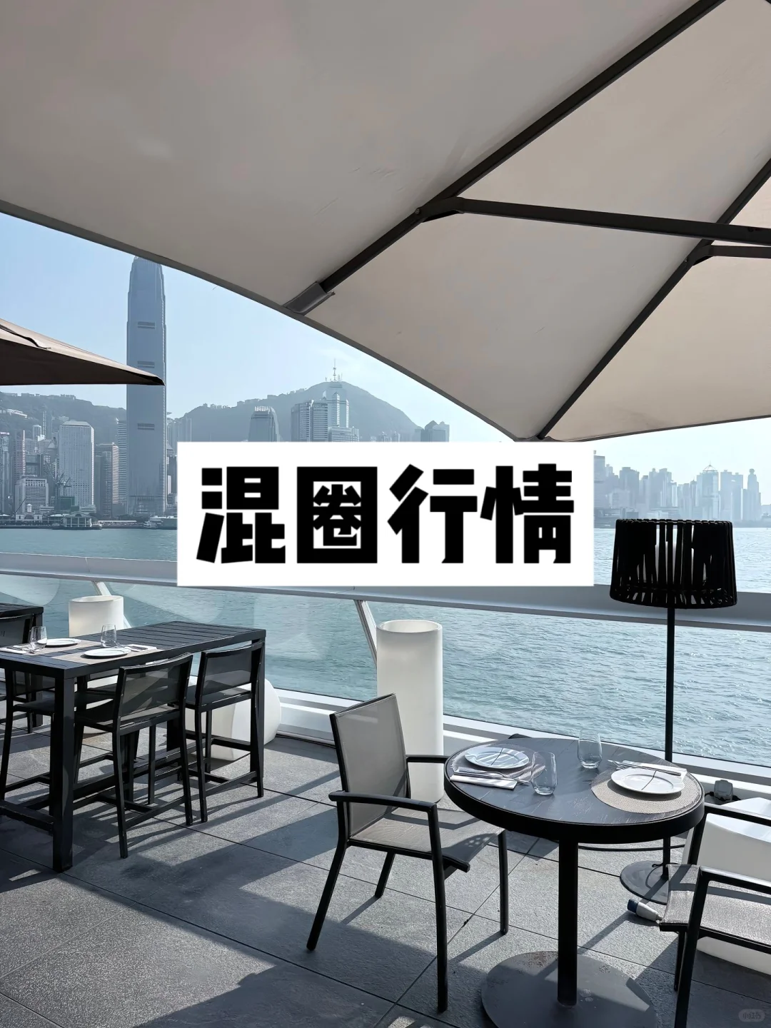 混圈行情分析