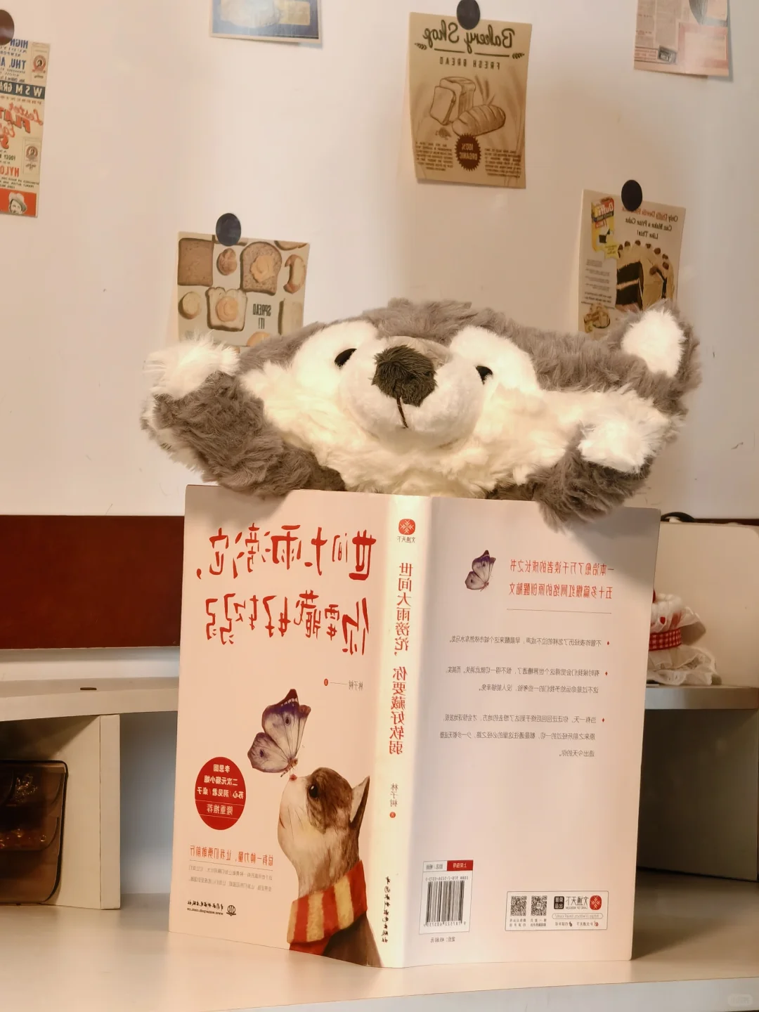 我真的对奇奇怪怪的玩偶没什么抵抗力