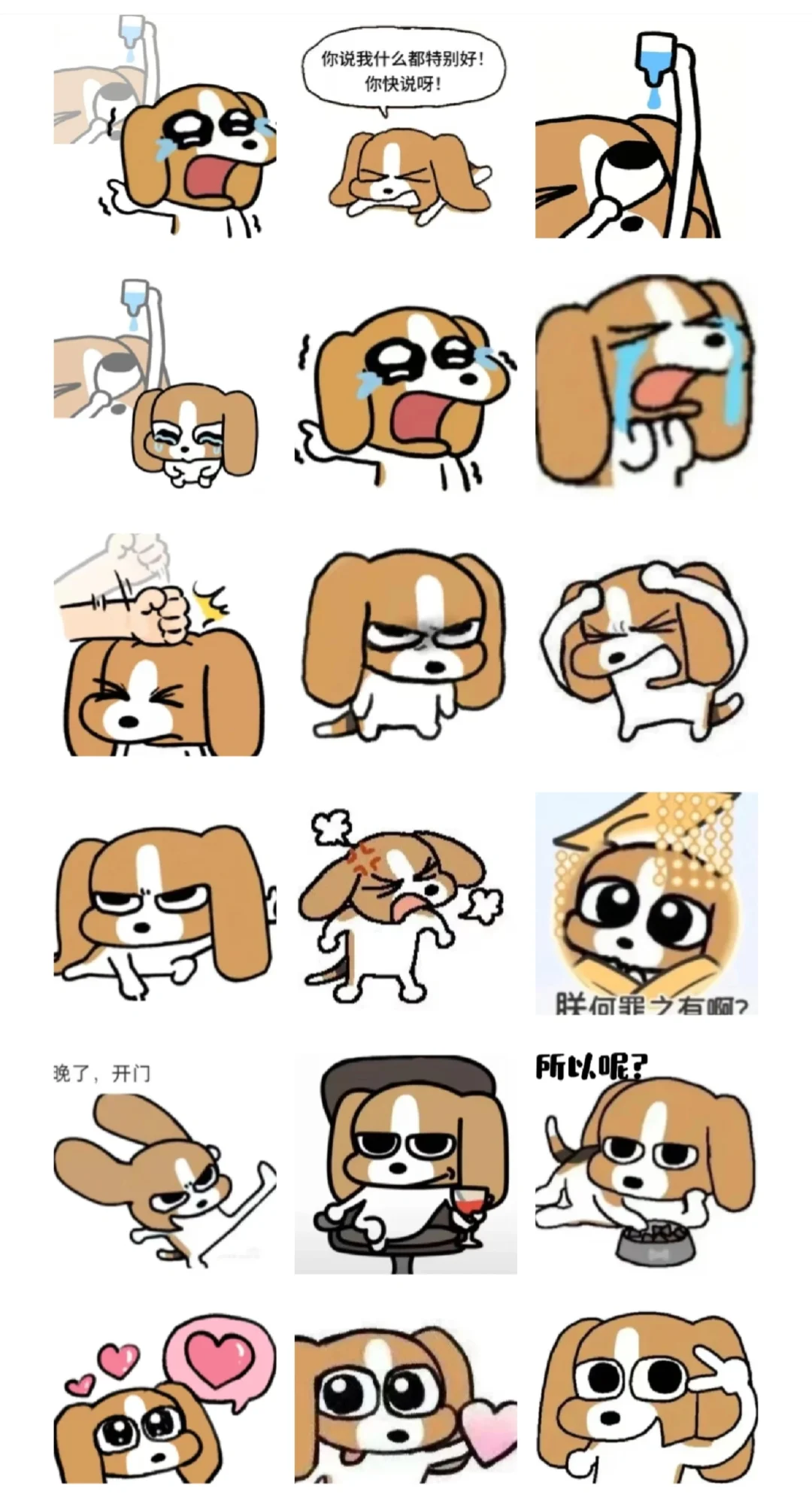 比格表情包太好玩啦
