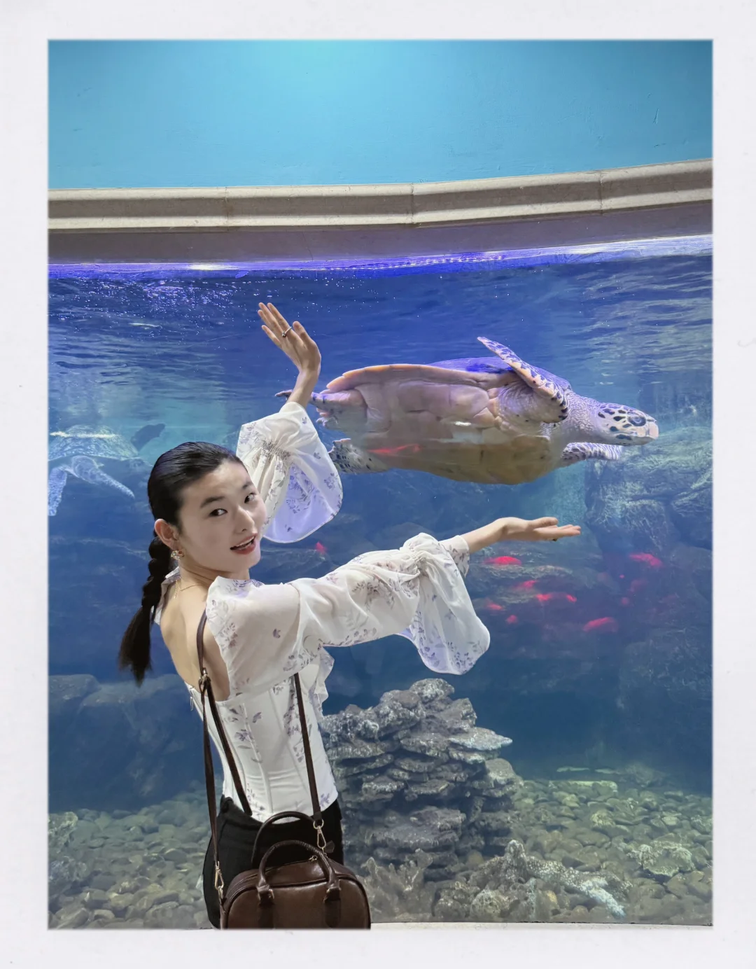 舒展自在生命力