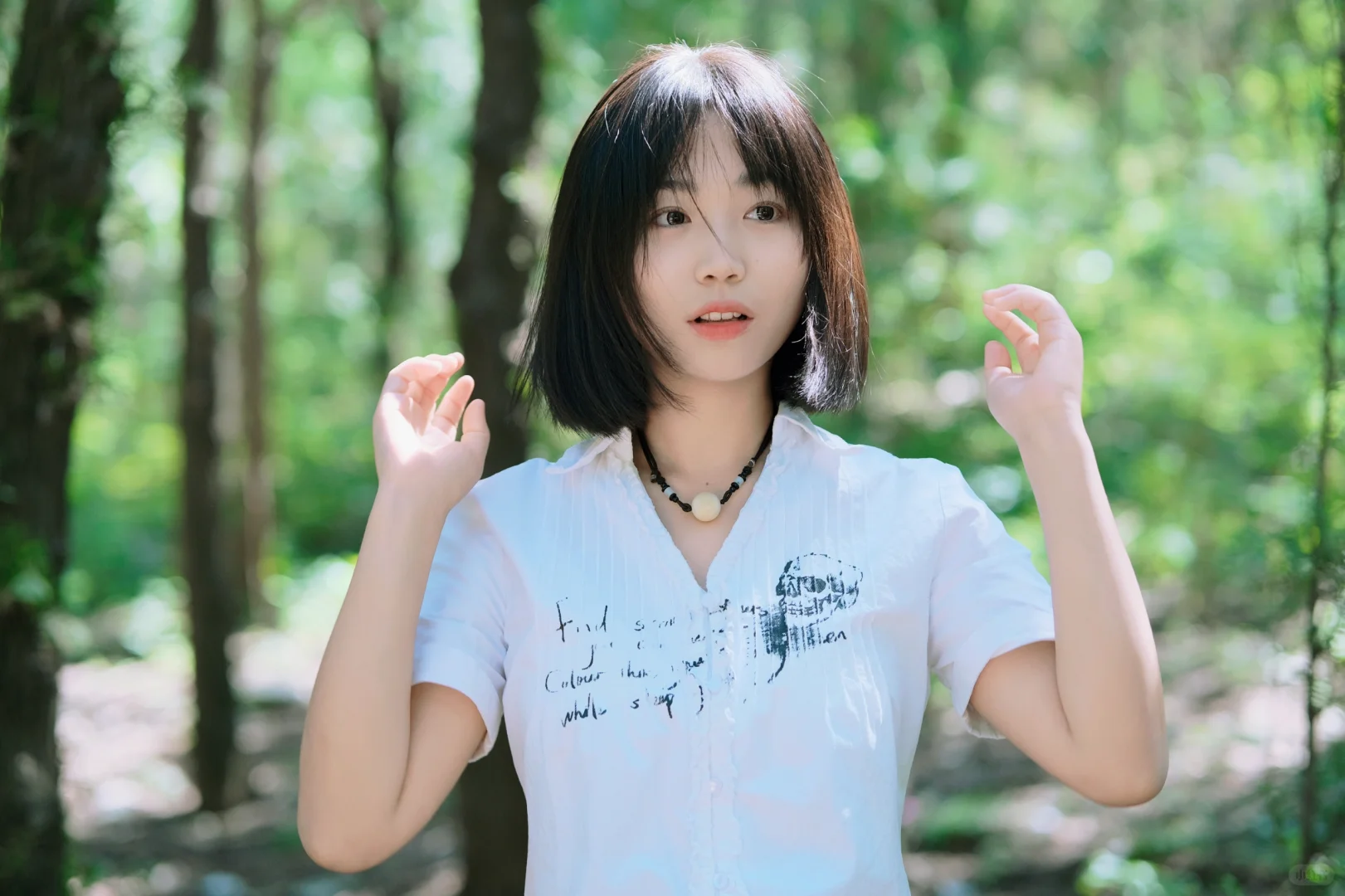 树林里的夏天