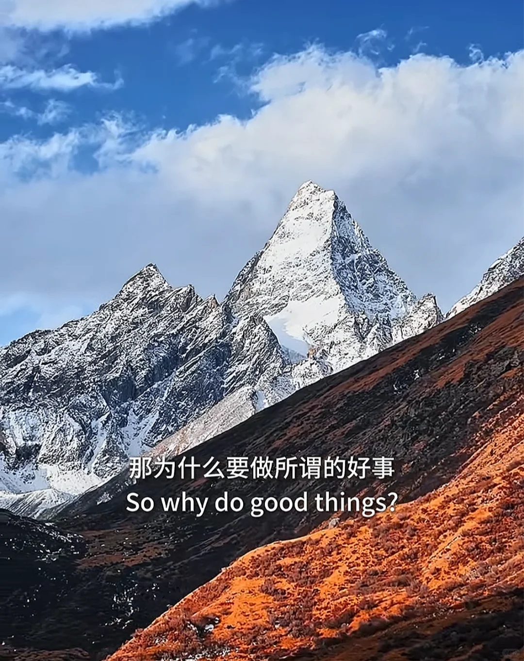 被影视飓风治愈到了