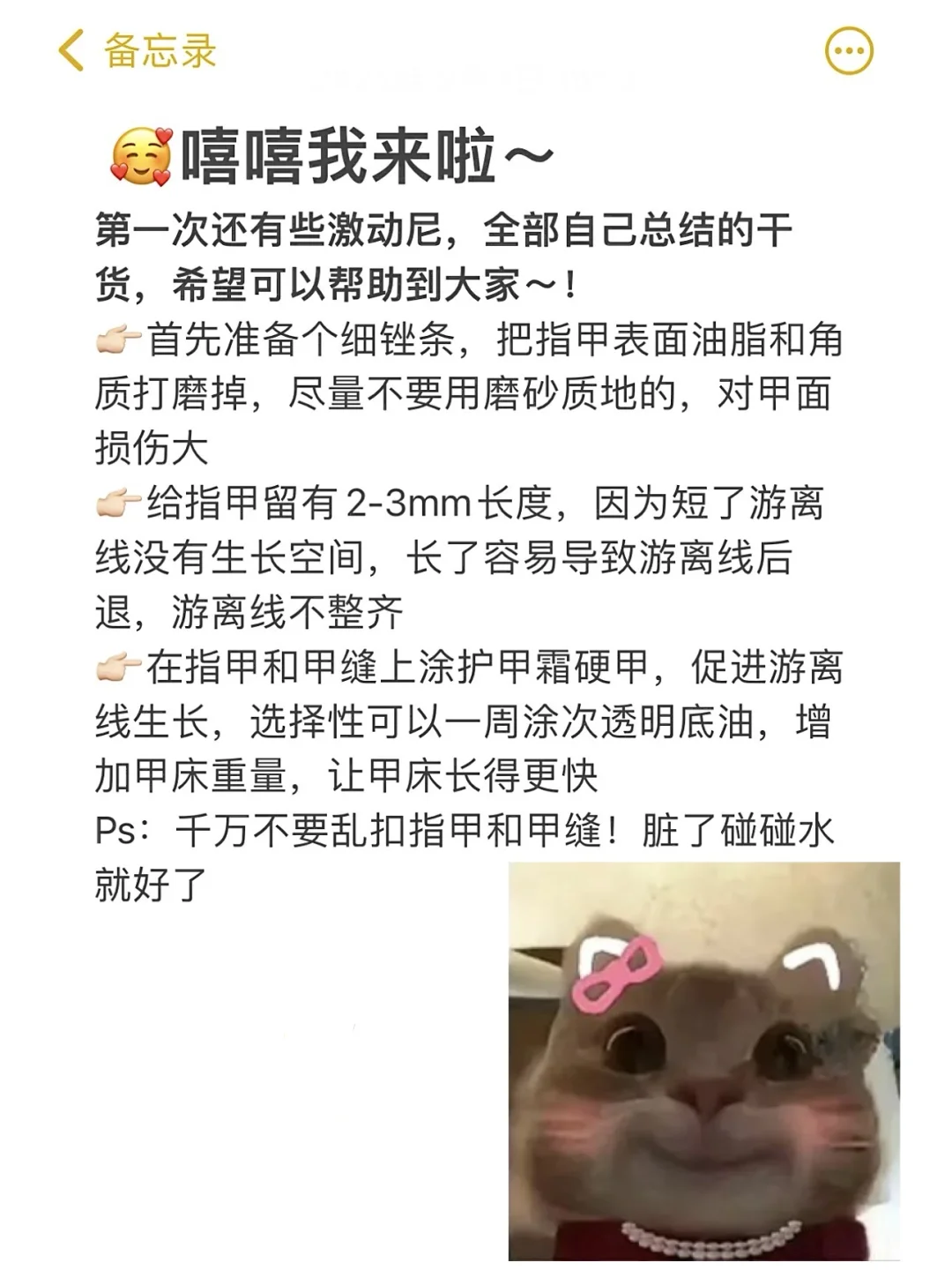 学生党低成本养甲！（05女大）