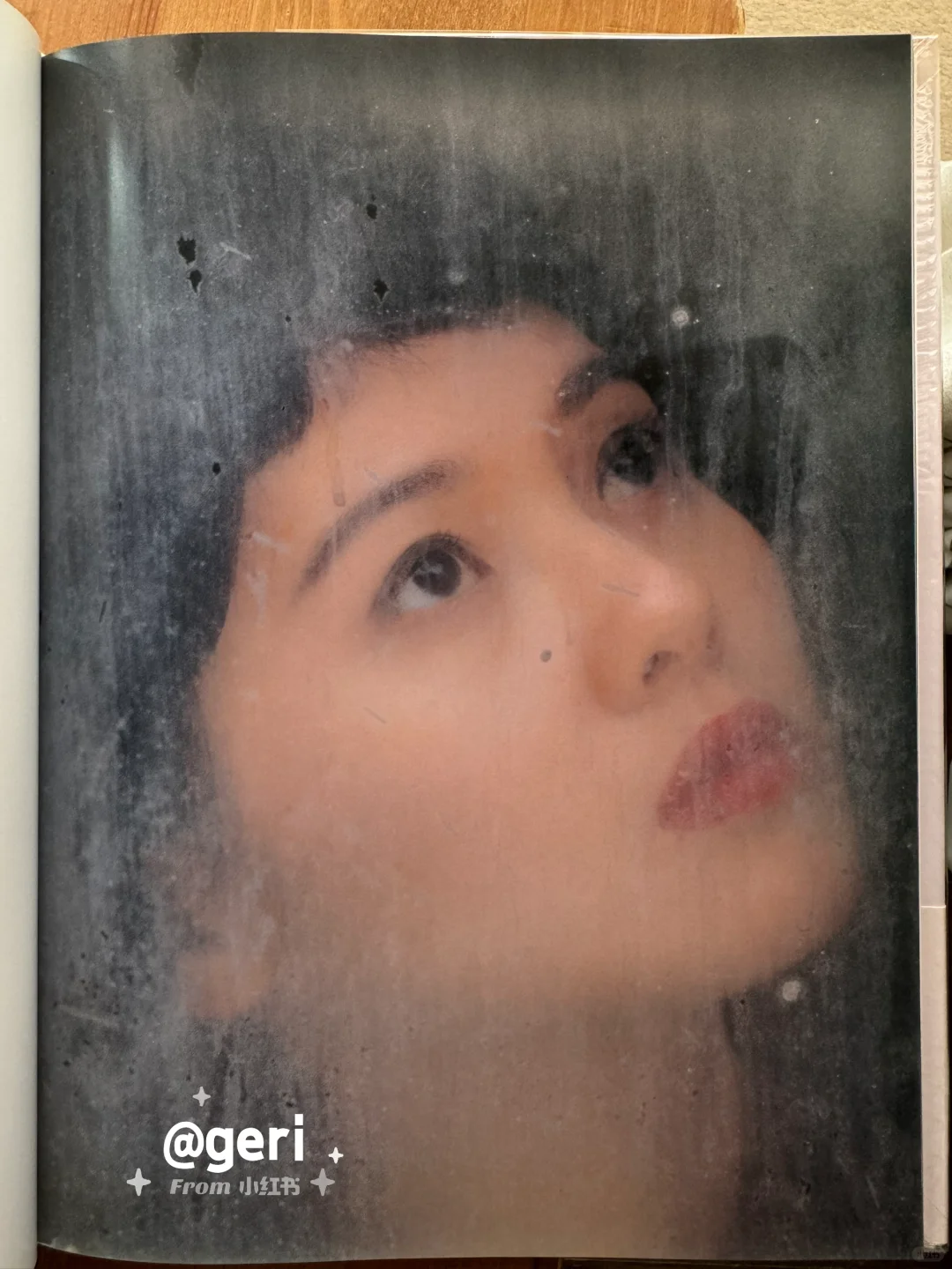 李丽珍在日本发行的写真集