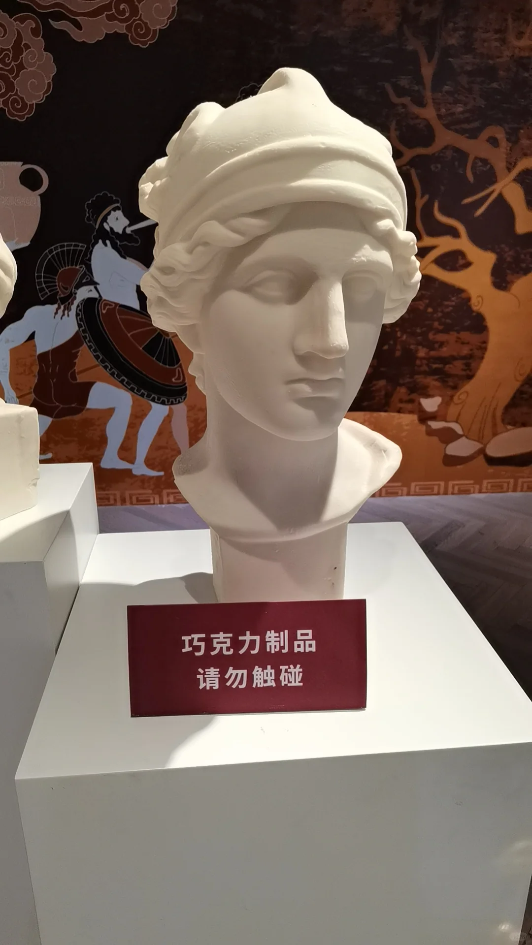 高价模特