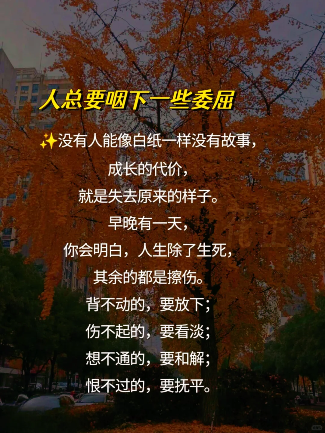 如何做一个人间清醒的中年少女？